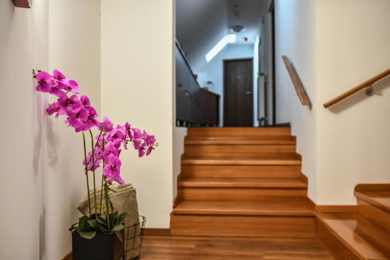 E-Vasko Panzio Borpince Bed & Breakfast Tokaj Exterior photo